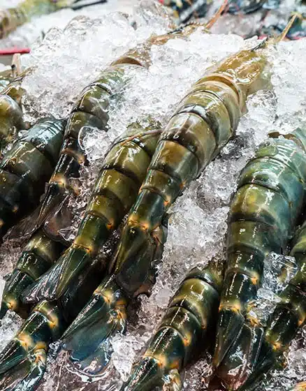 prawns-6-8-whole-raw-1kg