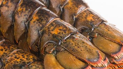 lobster-tail-1 lobster-tail-1