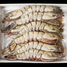 Whole Prawns 8-12 1kg