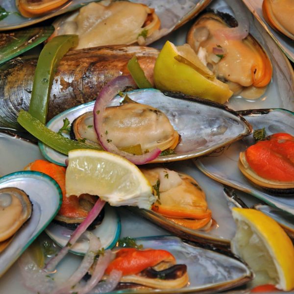 New Zealand Mussel Meat 500g
