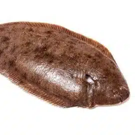 dover-sole
