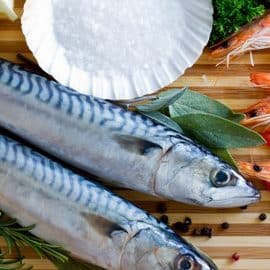 mackerel-1kg
