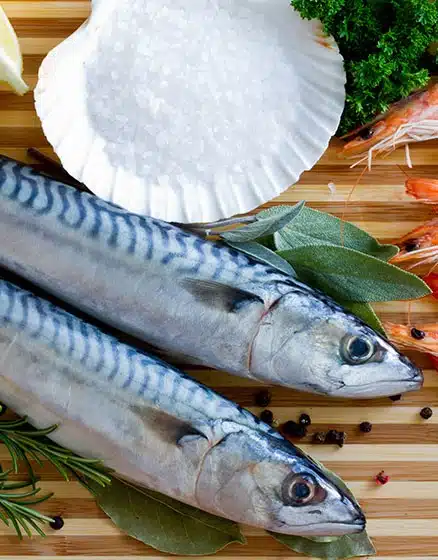 Whole Mackerel 2 Extra Large