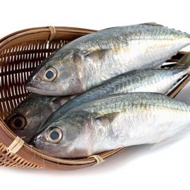 mackerel-indian-1kg
