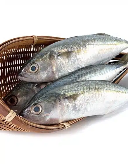 mackerel-indian-1kg