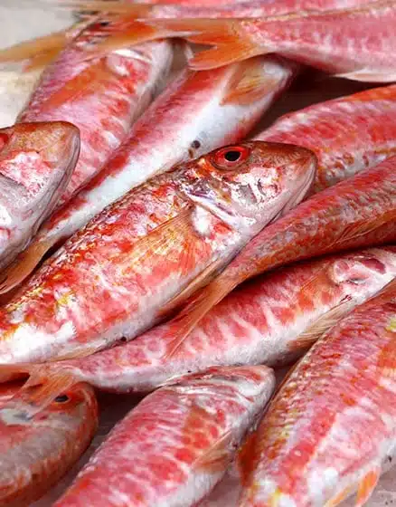 mullet-whole-red_2