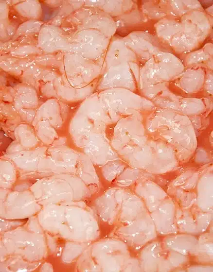 peeled-prawns-1kg_1