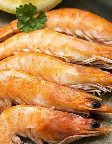 King Prawns