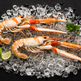 scampi