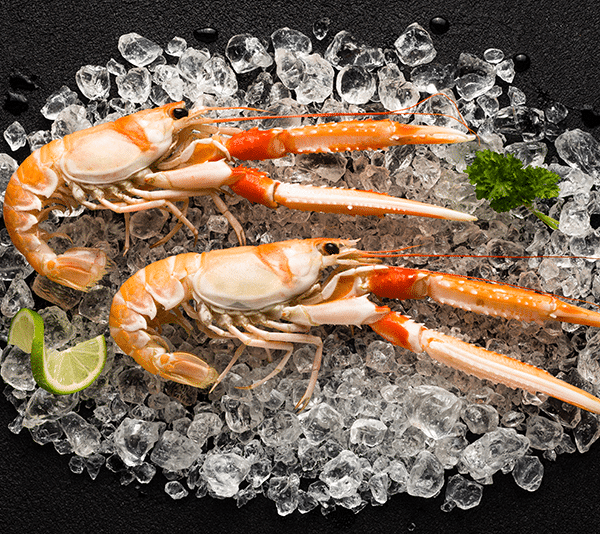 scampi