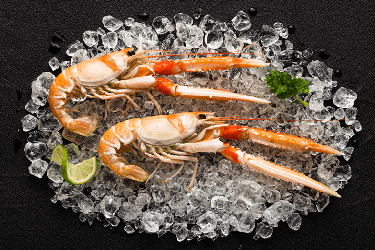 Scampi