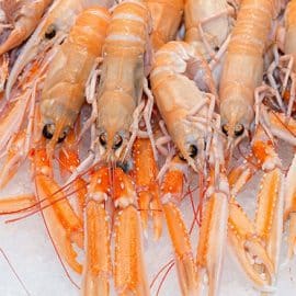 Whole Scampi