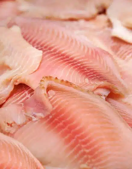 Traditional Fish