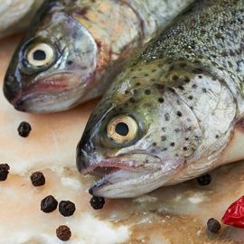 trout-350grams