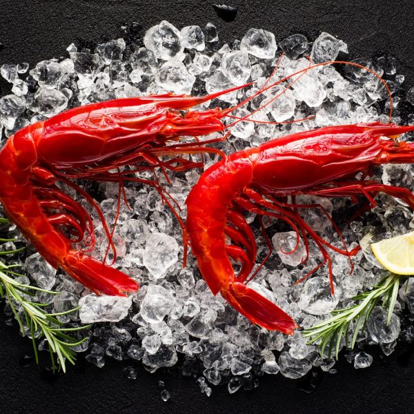 Carabineros Wild Red Prawns