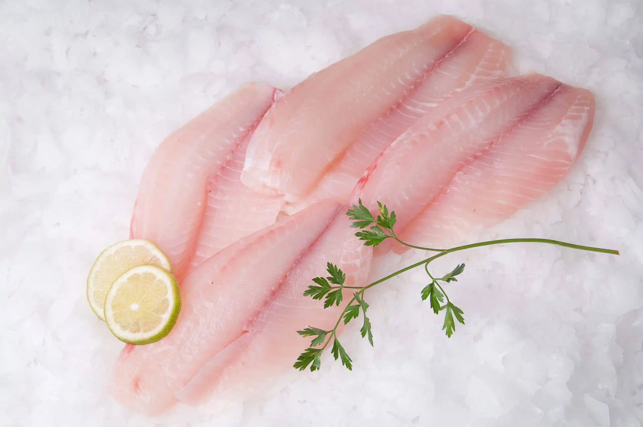 John Dory Fillets 1kg
