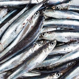 20AABA09-0C17-4595-830F-537AF593B243-min