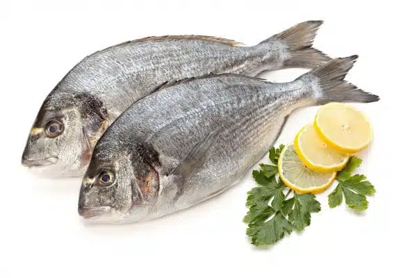 Gilt Head Bream 4/600g 2 per pack