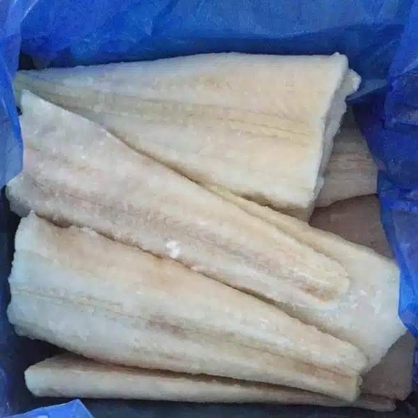 Hoki-fish-fillet