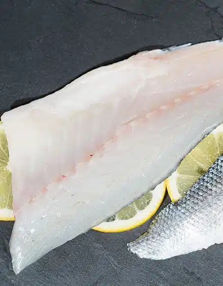 Sea Bass