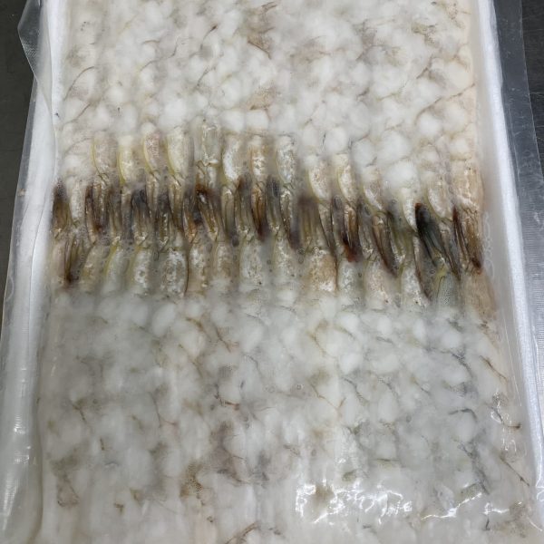 C7F37C9E-4DA4-4BDF-9B20-F8DE66F37856