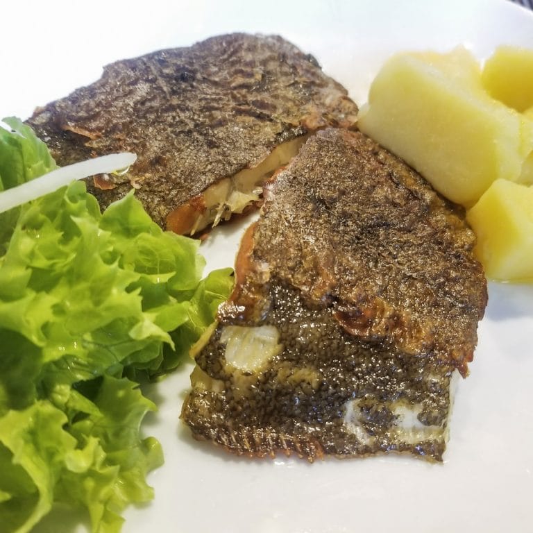 Brill Fish