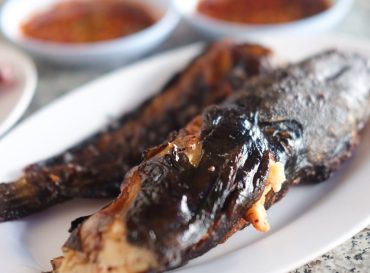 Grilled catfish on white dish