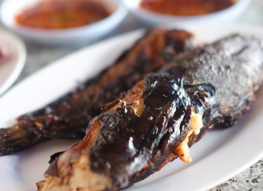 Grilled catfish on white dish