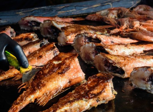 Raw Rose Fish Also Known As Ocean Perch, Atlantic Golden Redfish, Bream Or Hemdurgan, Grilled