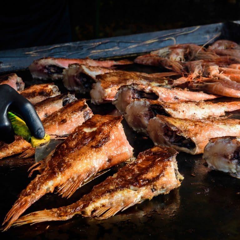 Perch Fish