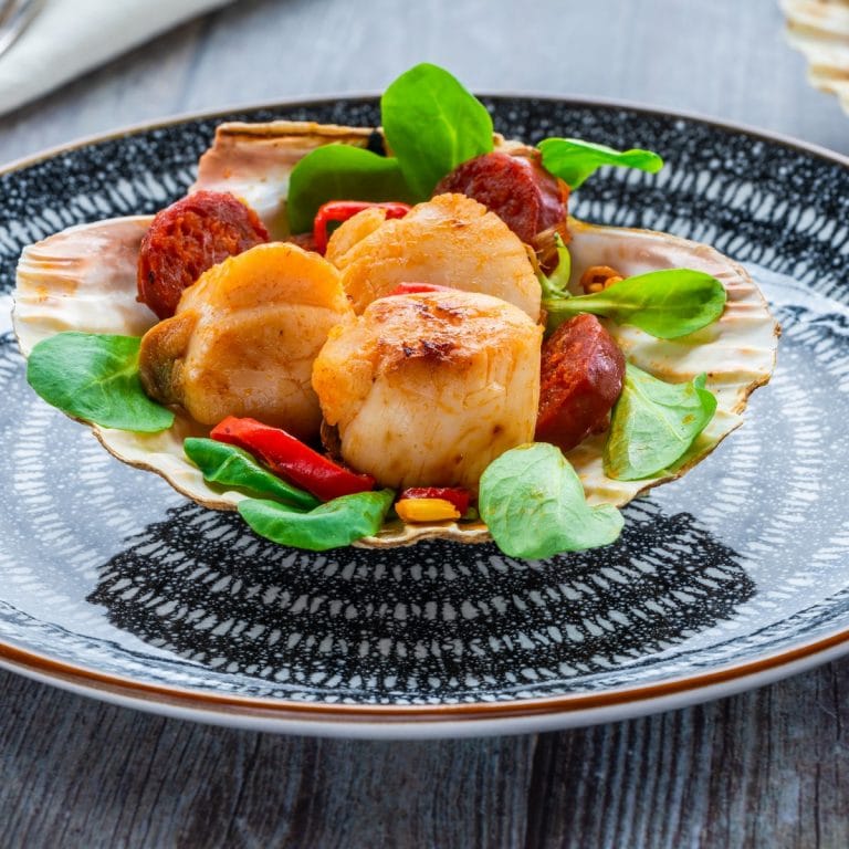 Scallops