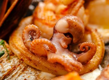 Closeup on seafood saute mix with octopus