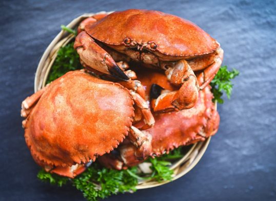 Cooked crab on steamer and dark background - Seafood boiled red