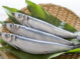 Herrings 7kg (whole) BOX