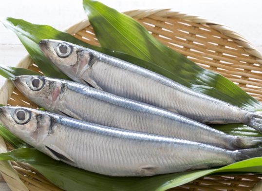 Herrings 7kg (whole) BOX