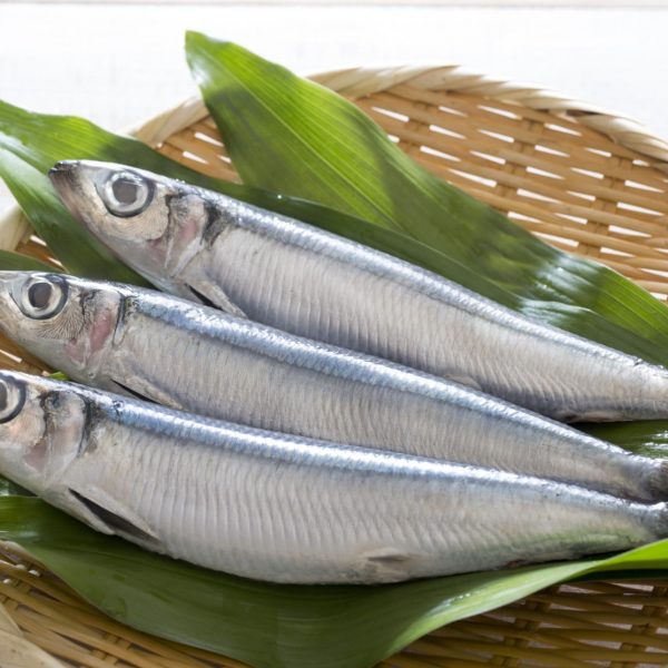 Herrings 7kg (whole) BOX