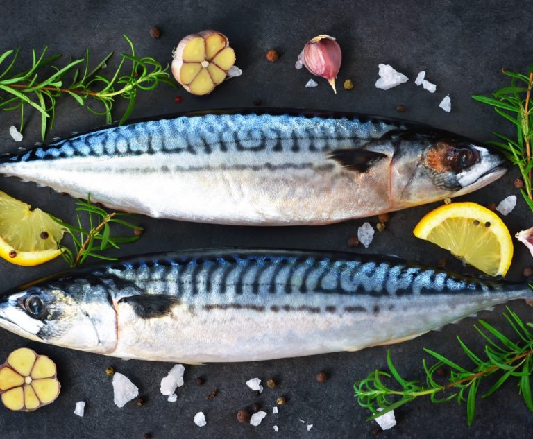 King Mackerel