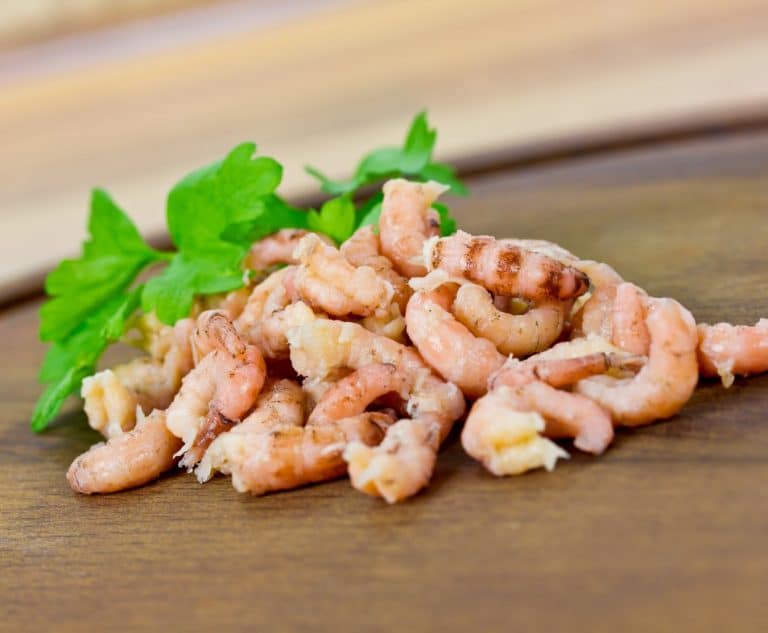 Shrimp