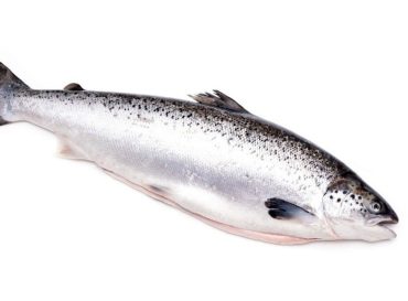 Whole Poached Salmon 67 Lb 3kg