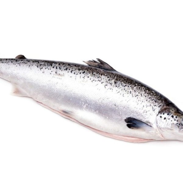 Whole Poached Salmon 67 Lb 3kg
