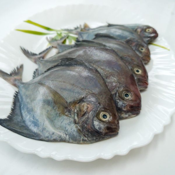 Black Pomfret Decorated with Vegetables and Herbs.