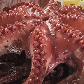 octopus-whole-1