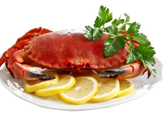 whole brown crab 600 800g 2 custom