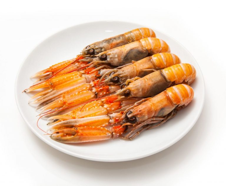 Scampi shellfish