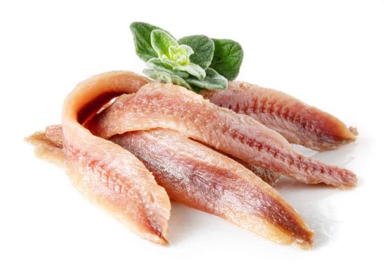 Anchovies