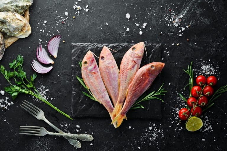 Red Mullet