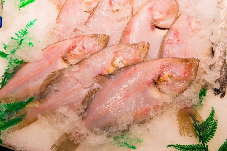 Cornish Sole