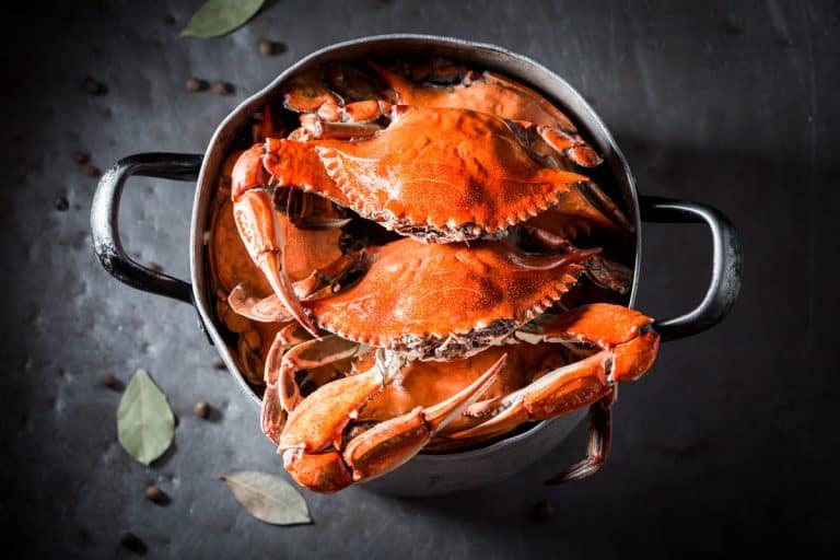 Crab