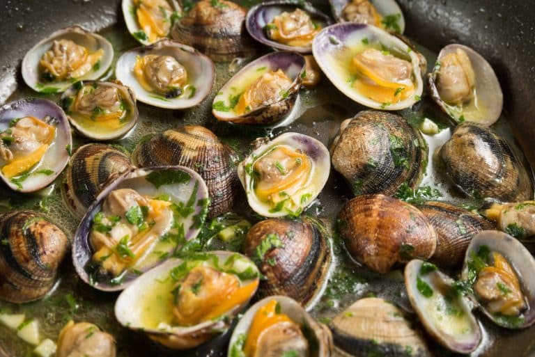 Clams