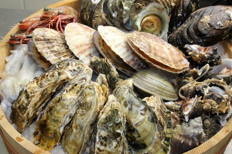 Shellfish